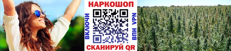 Какие есть наркотики Новосокольники Галлюциногенные грибы  Марихуана  Cocaine  A-PVP 