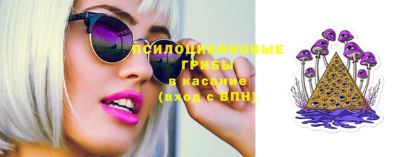 бошки Дмитровск