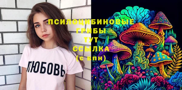 спайс Дмитров