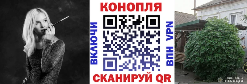 Шишки марихуана Amnesia Новосокольники